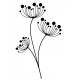 Rubber stamp - Flowers umbellifers
