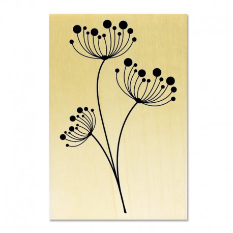 Rubber stamp - Flowers umbellifers
