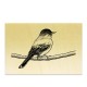 Tampon - Oiseau sur une branche crayon 2