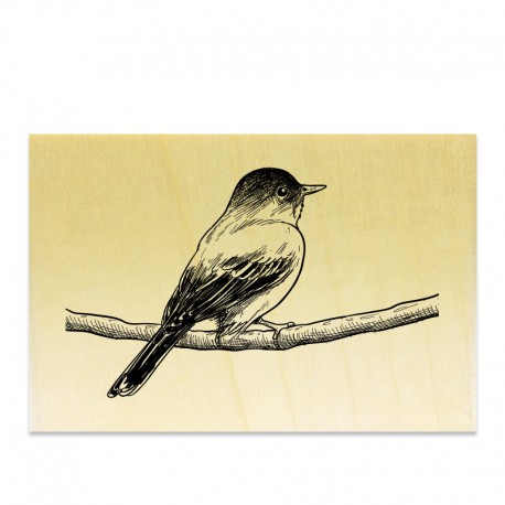 Tampon - Oiseau sur une branche crayon 2