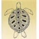 Collection Sea Life - Belle Tortue