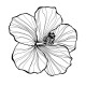 COLLECTION - COLLECTION - Enjoy Flowers - Fleur d'Hibiscus