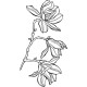 COLLECTION - Enjoy Flowers - Fleur de Magnolia