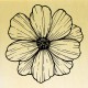 COLLECTION - Histoire de Fleurs - Anemone